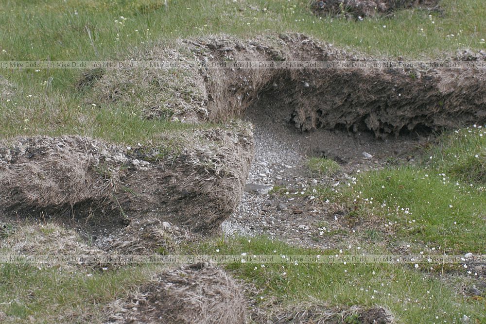 Wind erosion of sugar limestone soil