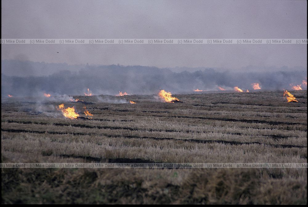 Straw burning, farmland, Kent