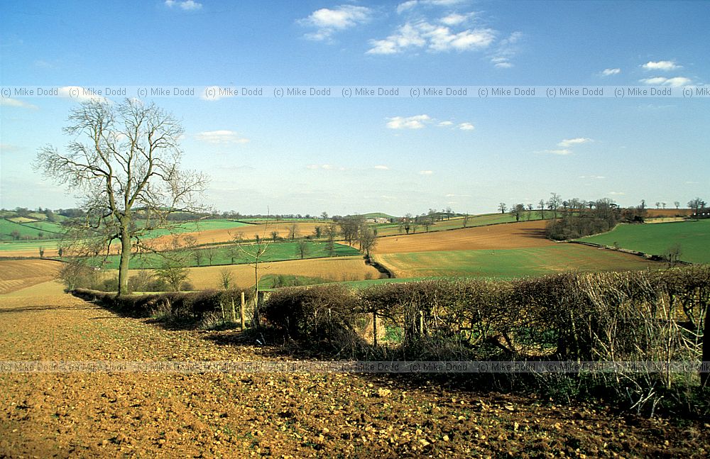 Ploughed farmland Tysoe, Warwickshire