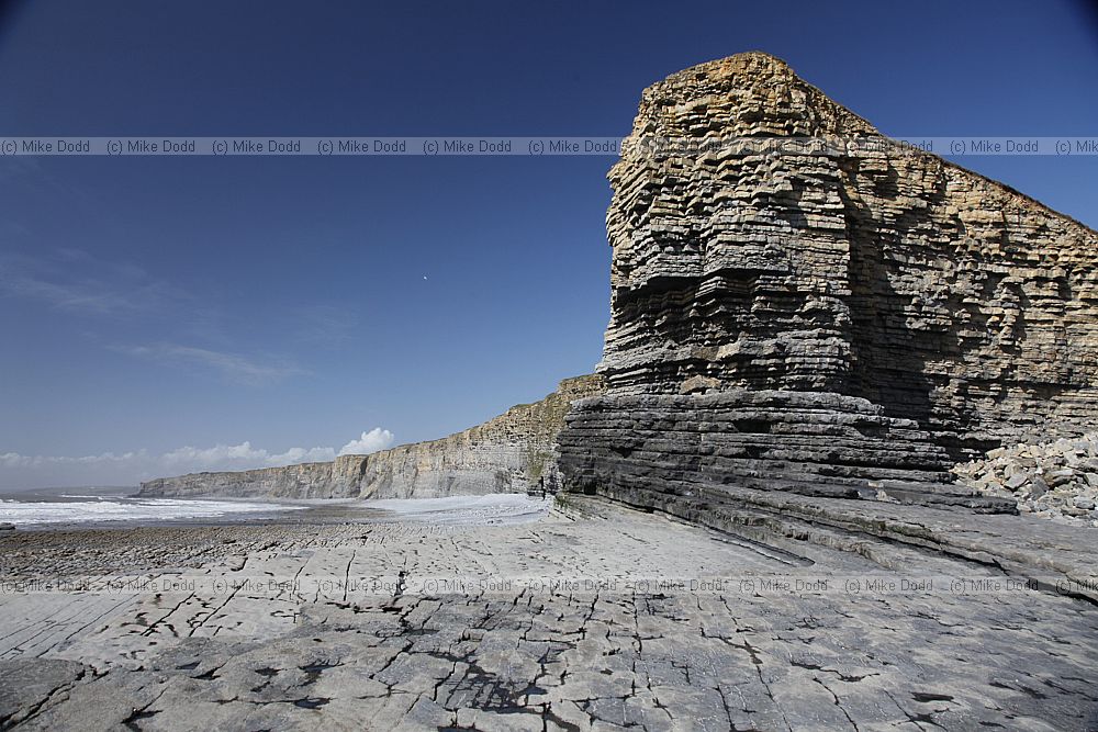 Nash point with liassic limestone shale and carboniferous sandstone 2013