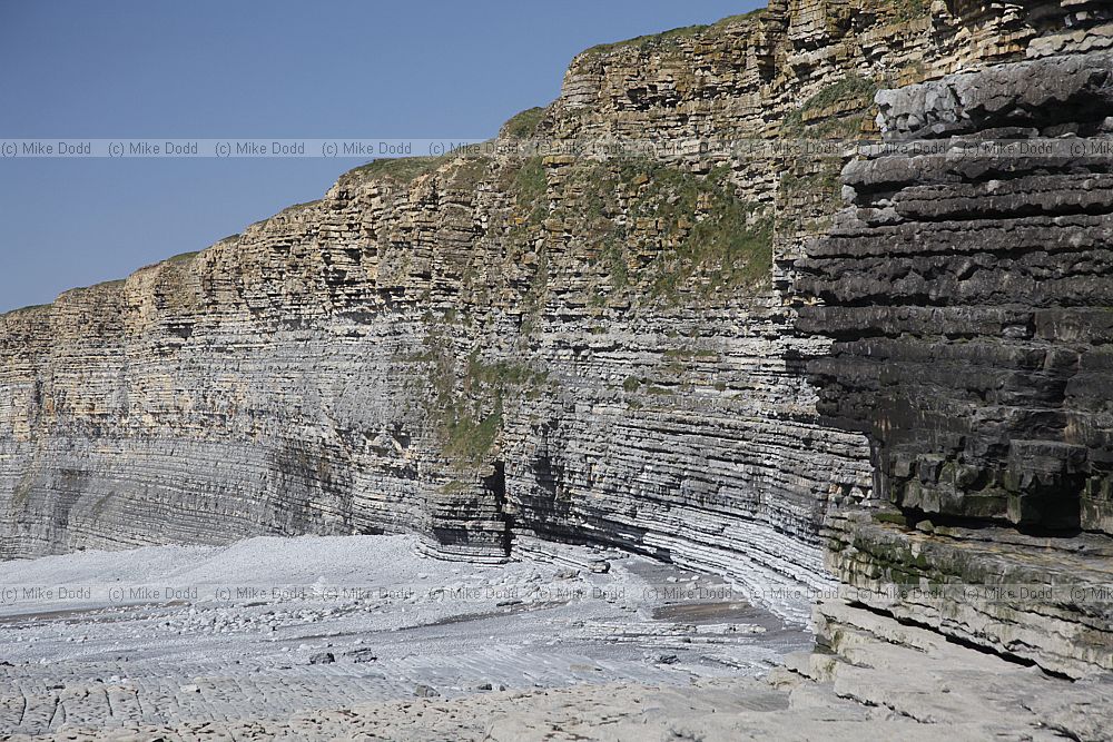 Nash point with liassic limestone shale and carboniferous sandstone