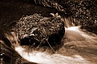 Boulder in stream, Wales
