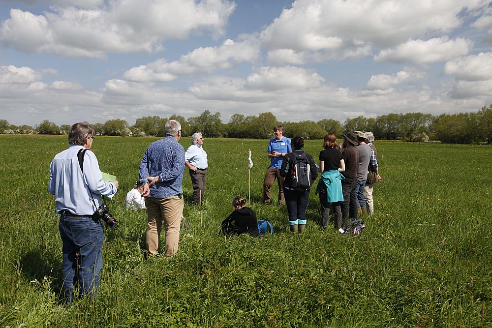 David Gowing demonstrating water level monitoring on a floodplain meadow