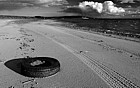 Tyre and tracks on the beach