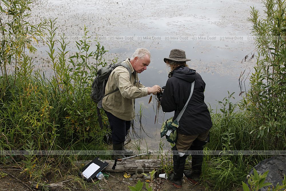 Owen Mountford and Emily Dresner sampling water weeds in a lake using a grapnel