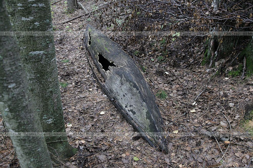Remains of a traditional boat