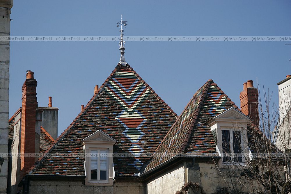 Fancy tiled roof Dijon