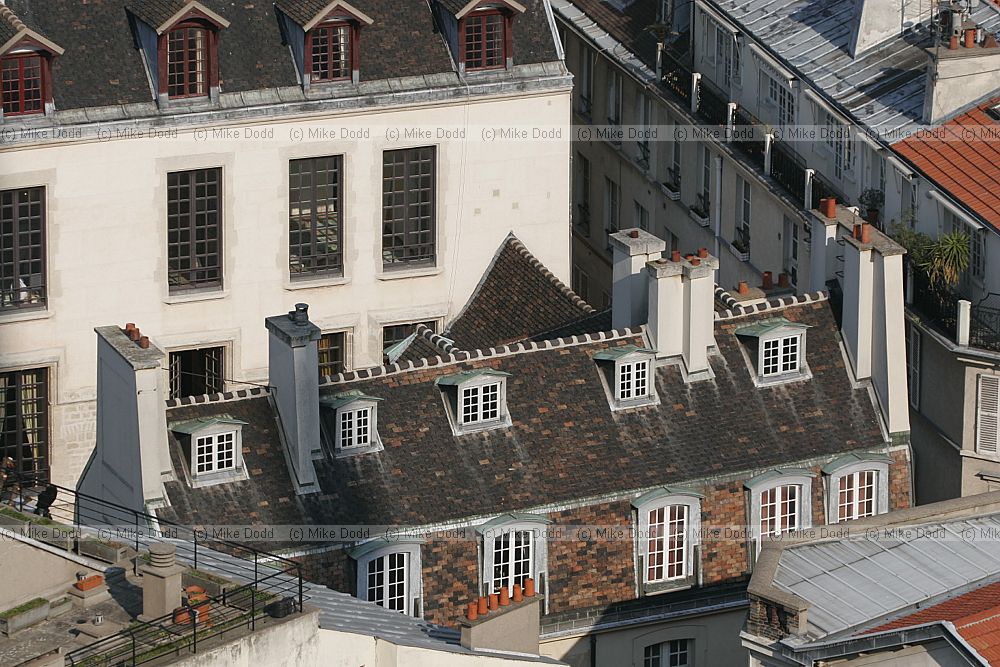 roofs from Notre Dame