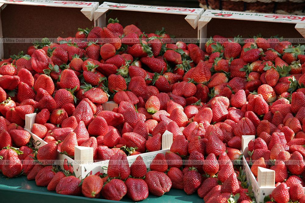 Strawberries fraises Rue Mouffetard Food Market Paris