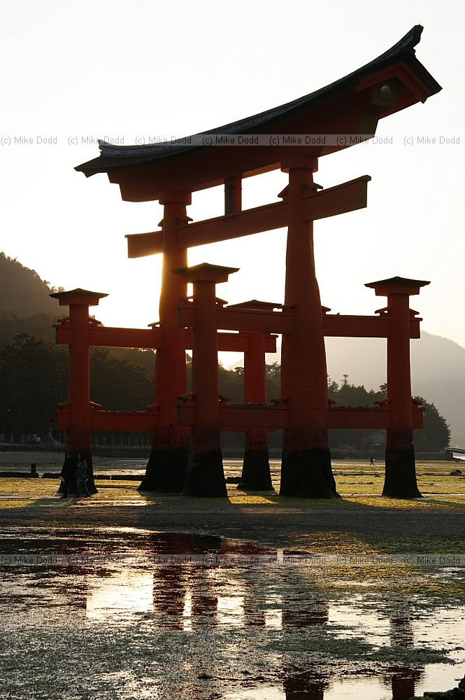 Sunset O-Torii gate to the Itsukushima shrine Miyajima Japan