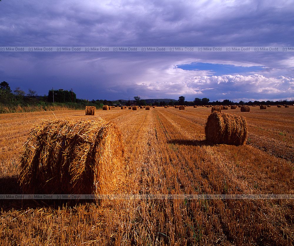 Big bales of straw with storm clouds near Pitstone Buckinghamshire