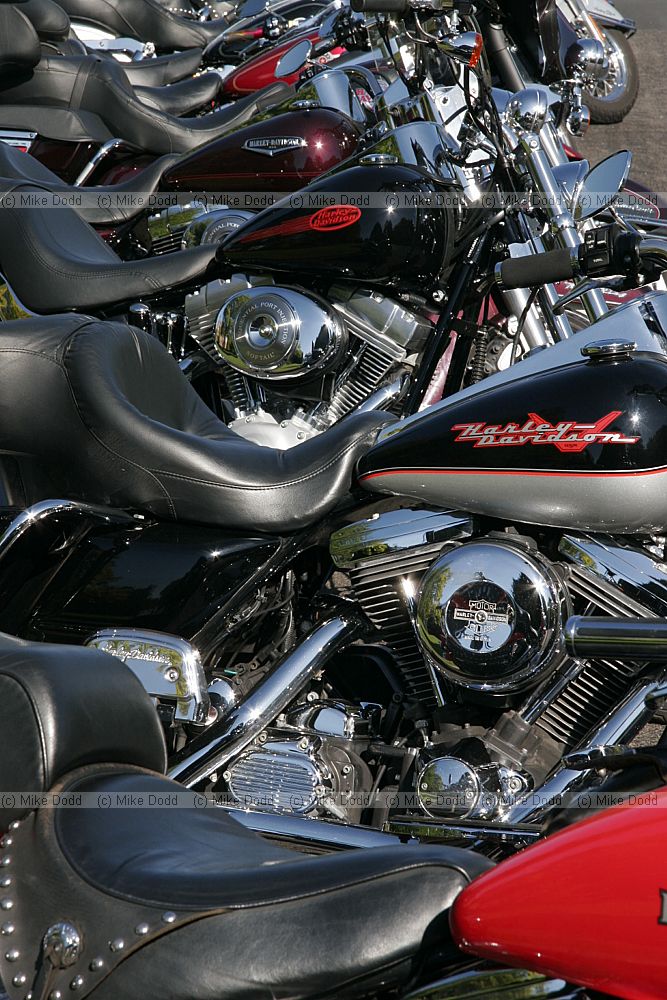 Harley-Davidson motorbikes