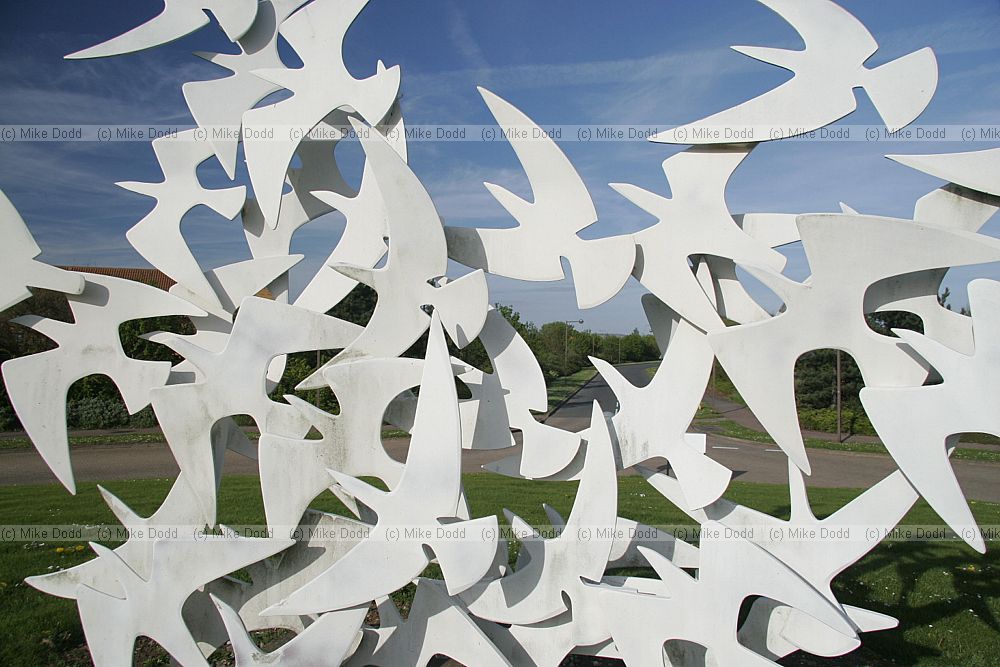 wings of enterprise by Walter Ritchie 1991 Bird sculpture caldecotte Milton Keynes