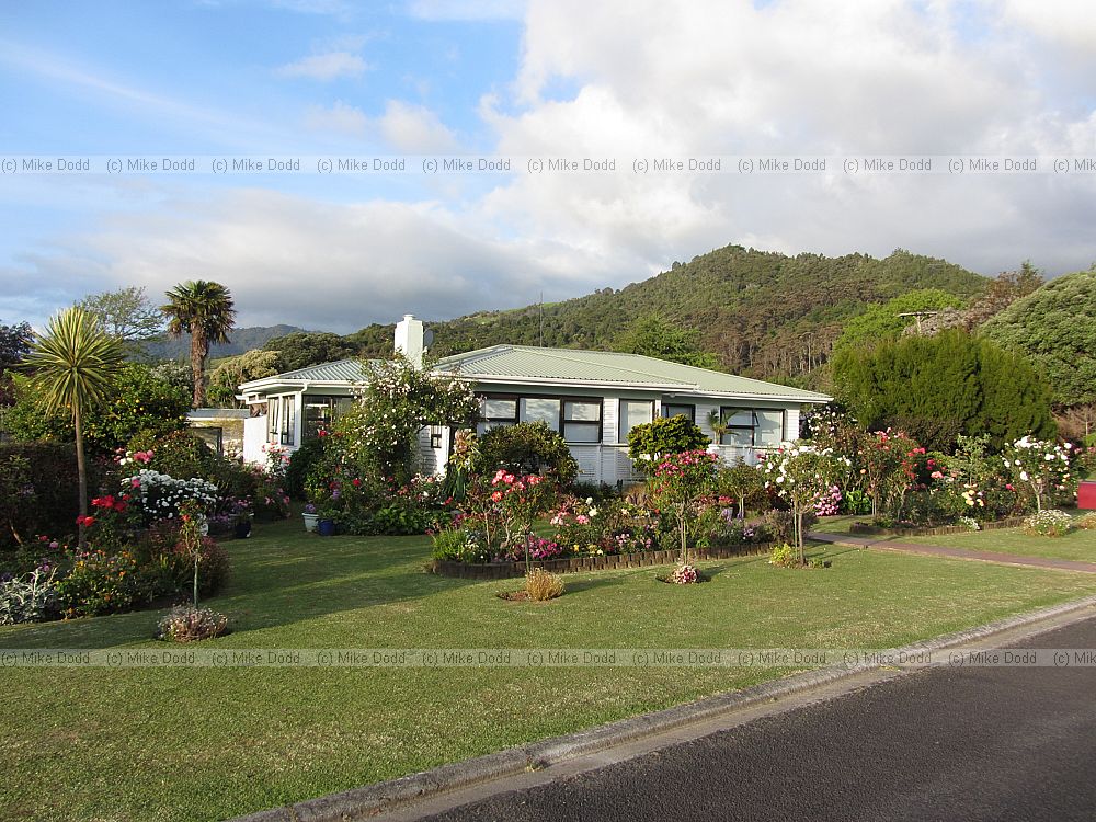 Typical NZ one story house with rose garden