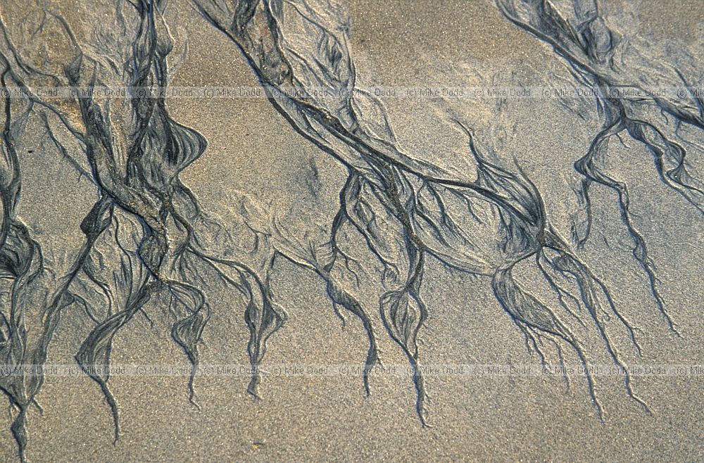 Patterns in the sand Halfmoon bay Stewart Island