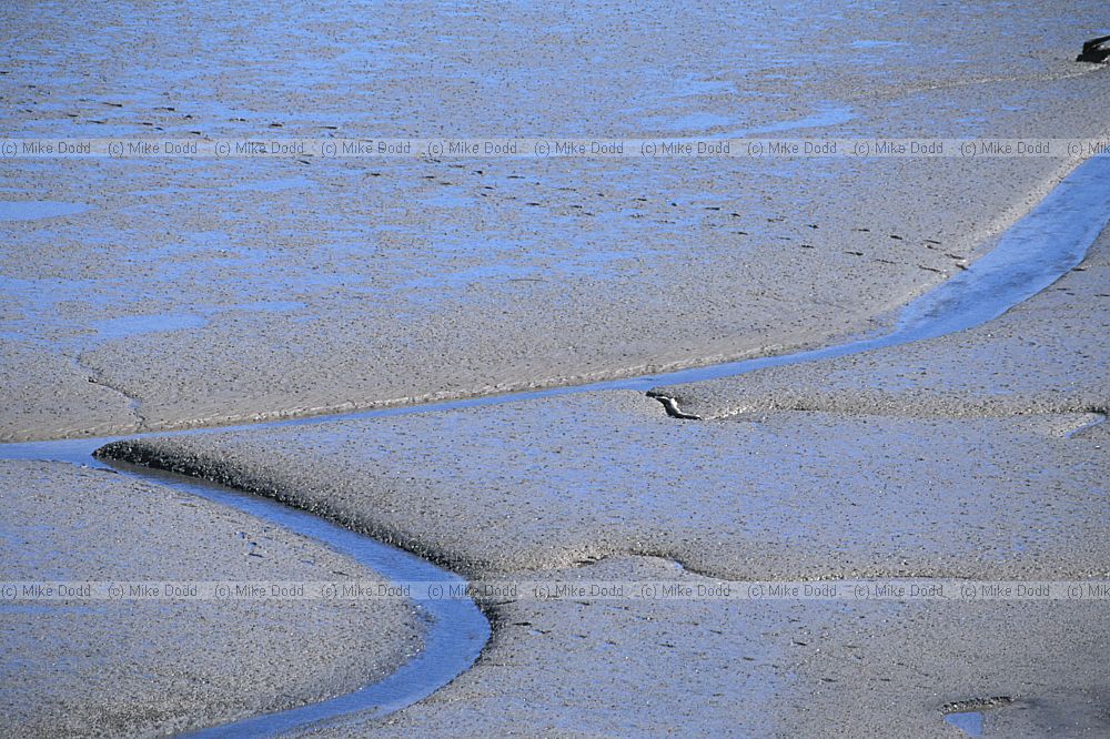 mud and footprints at Tongaporutu