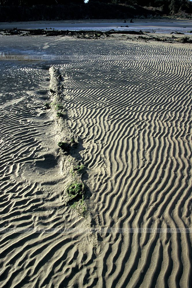 Sand ridges Owaka