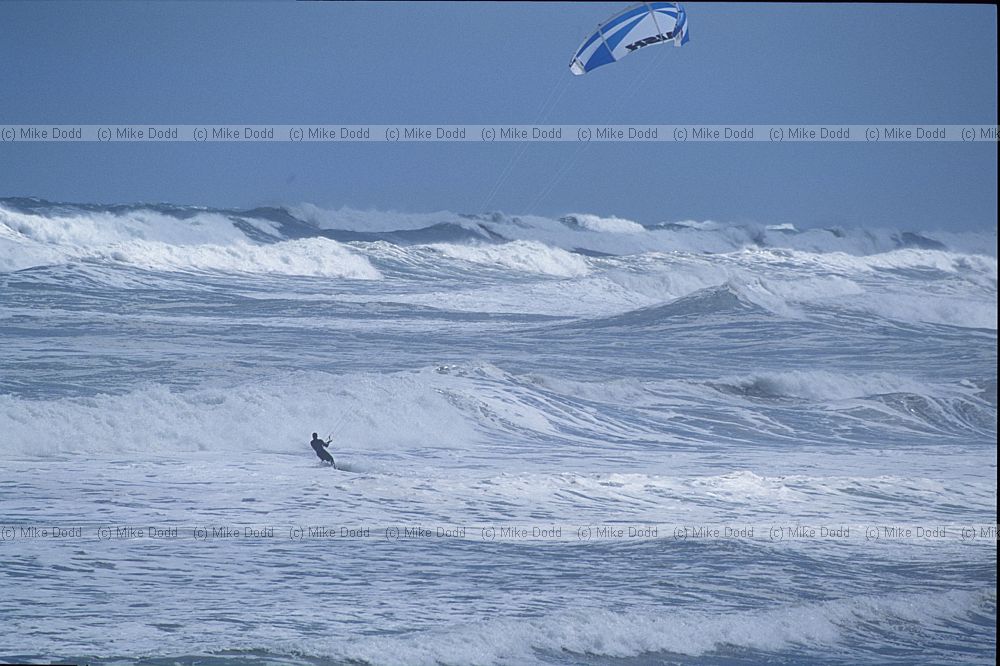 Surfer with kite Muriwai beach