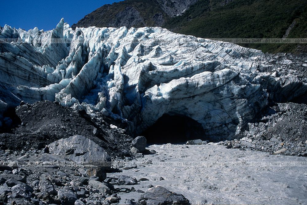 Fox glacier 1995