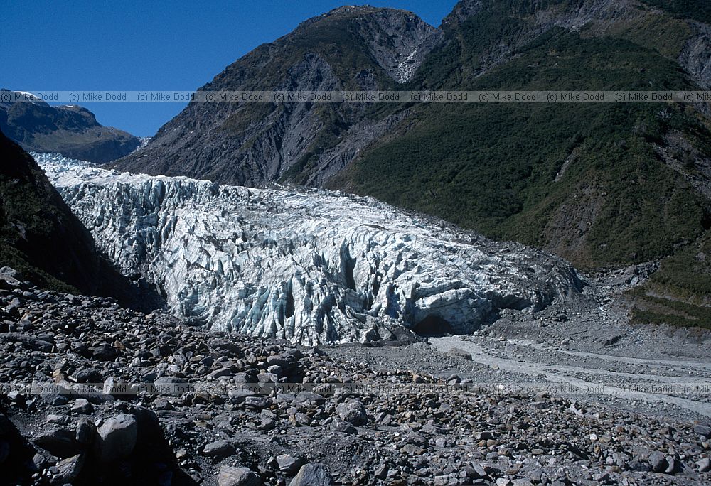 Fox glacier 1995
