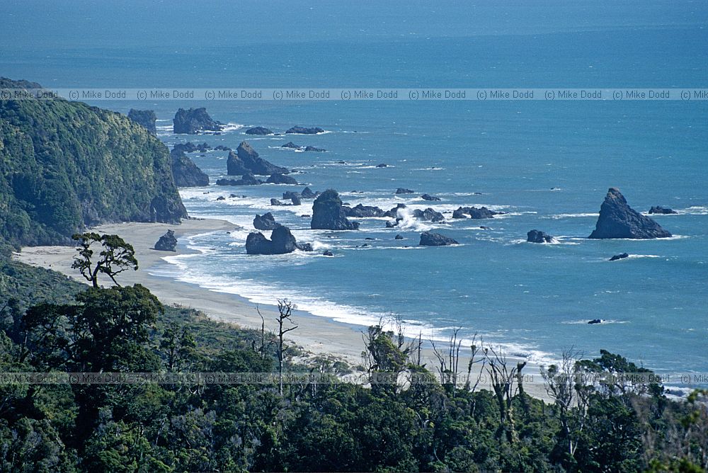 West coast coastline with rainforest and beach