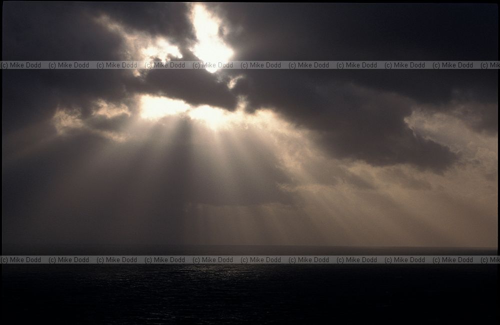 Sunbeams over sea