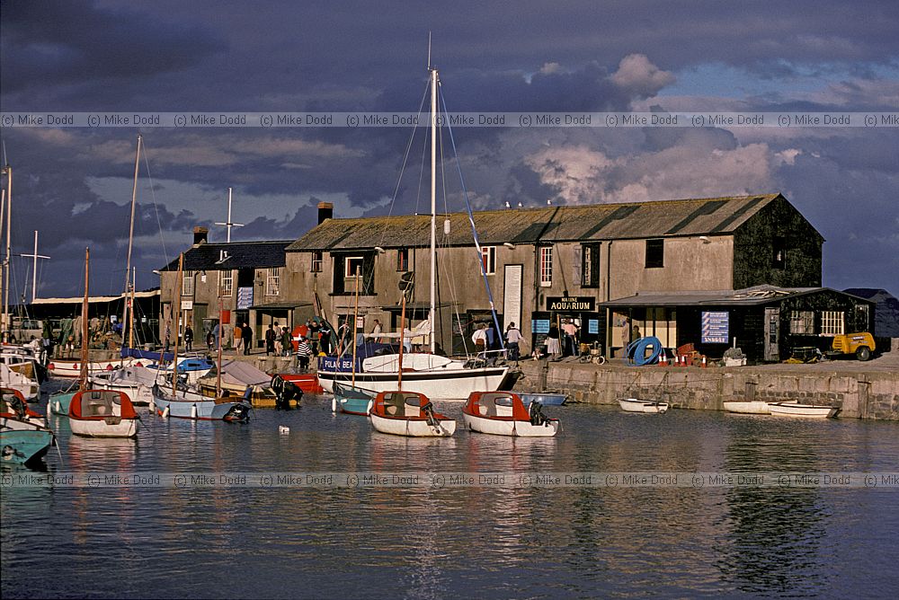 Lyme Regis