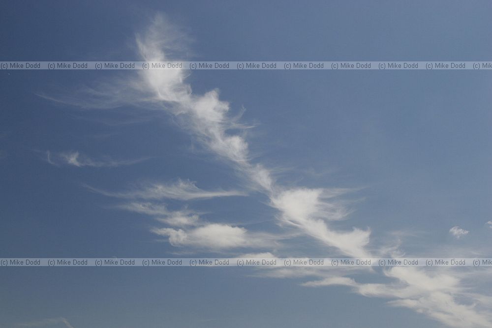 Cirrus clouds