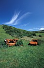 Castle hill Sussex with burnt out cars