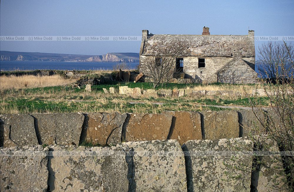 Croft Dunnett north coast Scotland
