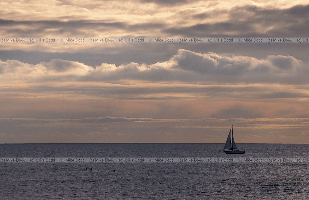 Yacht near Brighton
