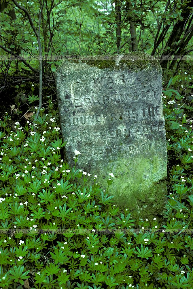 War department boundary marker near Reigate Surrey