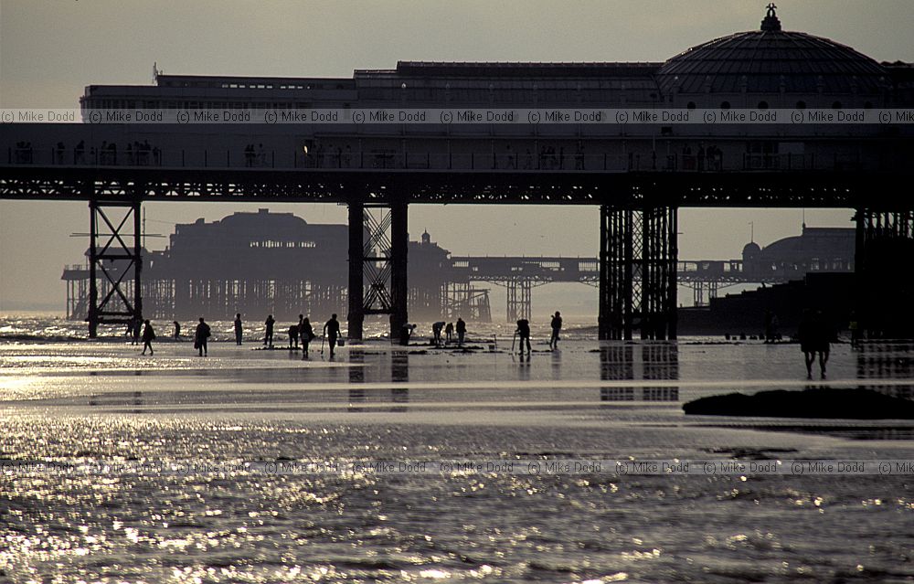 Piers Brighton tide out