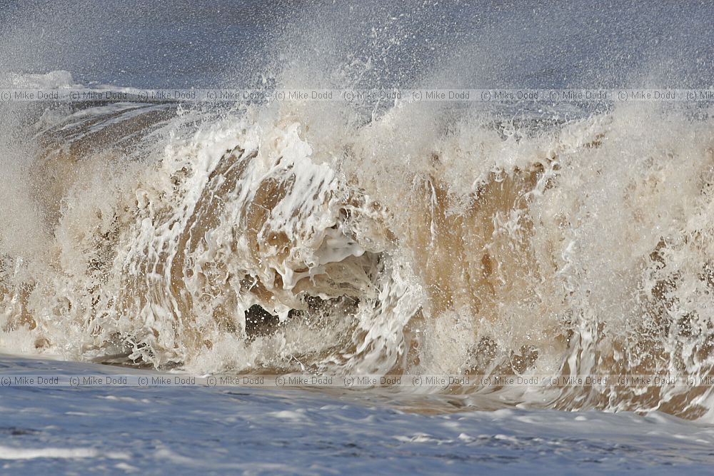 Large wave breaking on the beach