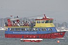 Wildlife trip boat exe estuary