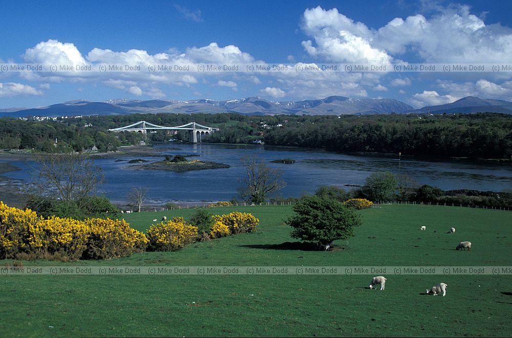 Menai bridge, N. Wales