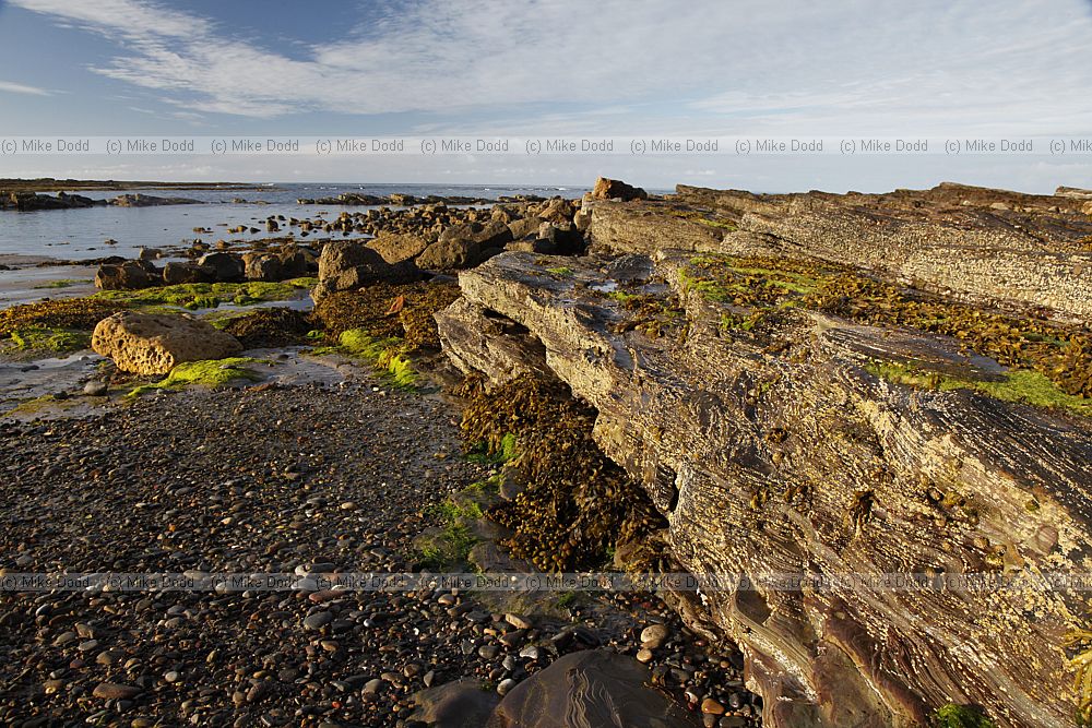 Beadnell shore with rocks