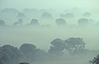 Mist inversion Ivinghoe beacon, Chilterns