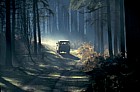 Conifer wood early morning mist landrover, Brickhill