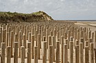 Wooden sea defences in front of sand dunes
