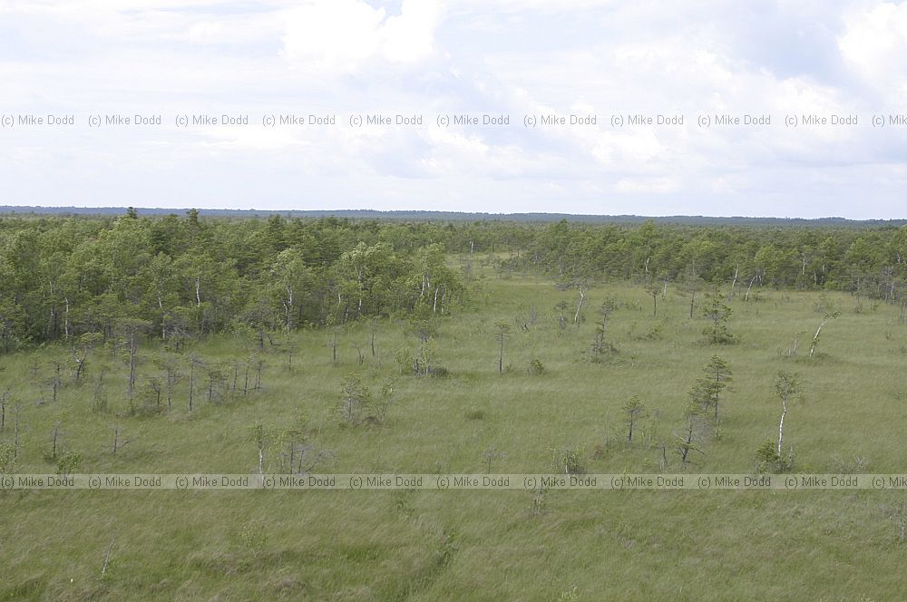 Oidrema Tuhu wetland and mire