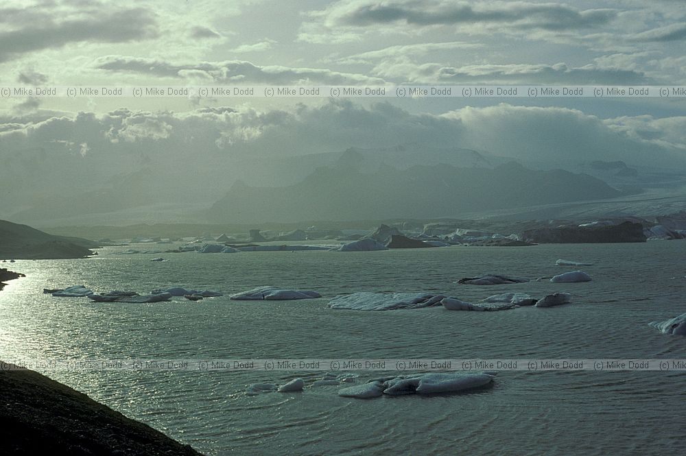 Vatnajokull and icebergs