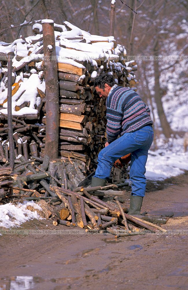 Wood cutter Roggio