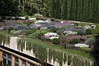 Roof garden Alhambra