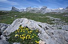 Limestone scenery top of Fuente De Picos de Europa