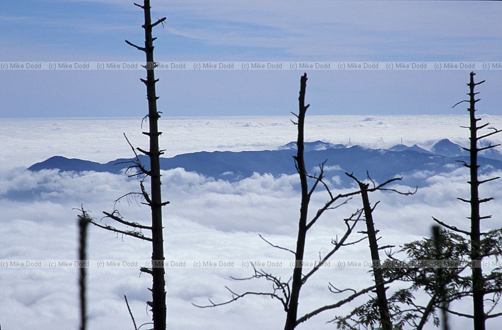 Cloud sea from mt Chausu
