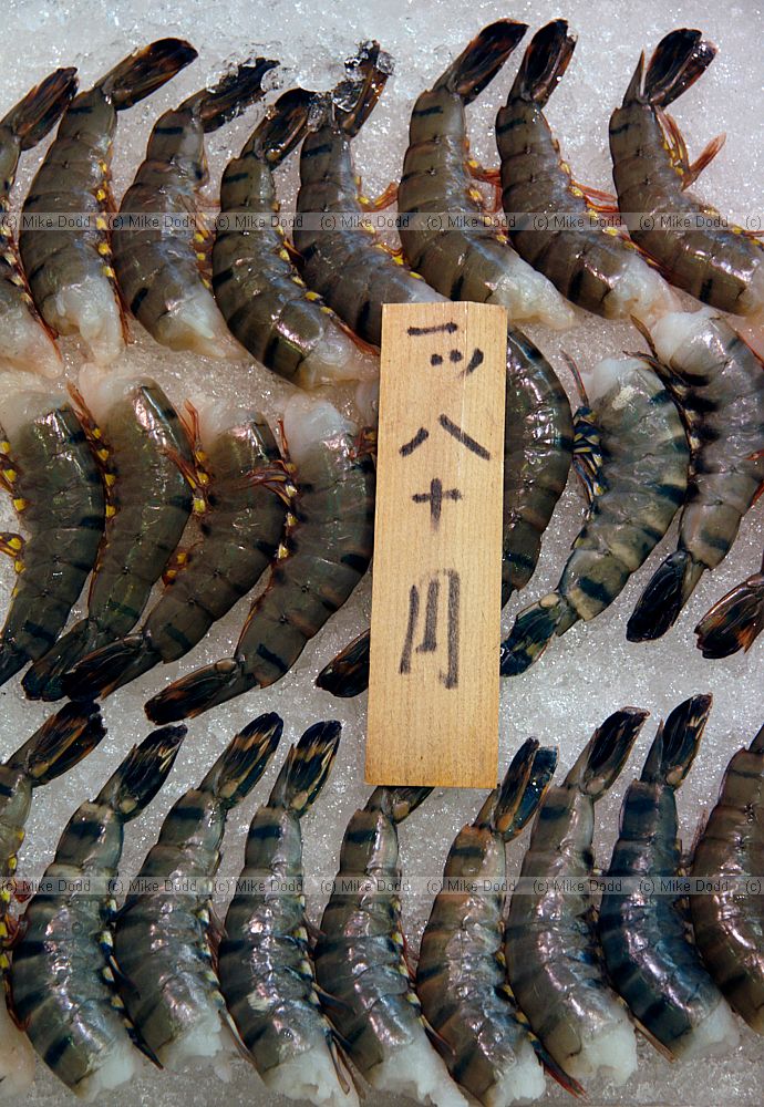 prawns
