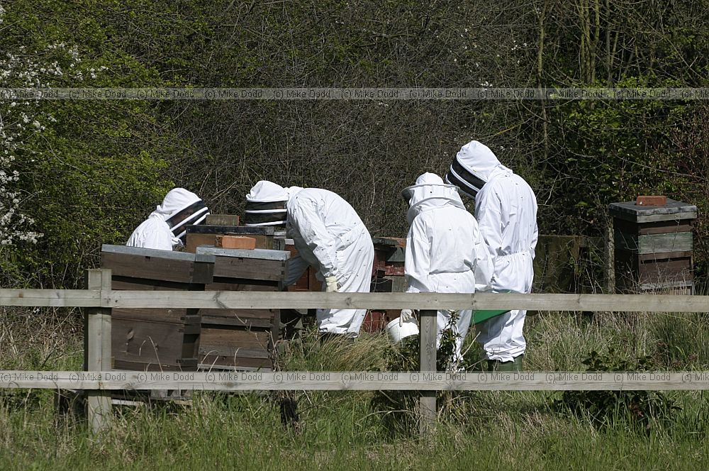 Bee keepers Open University