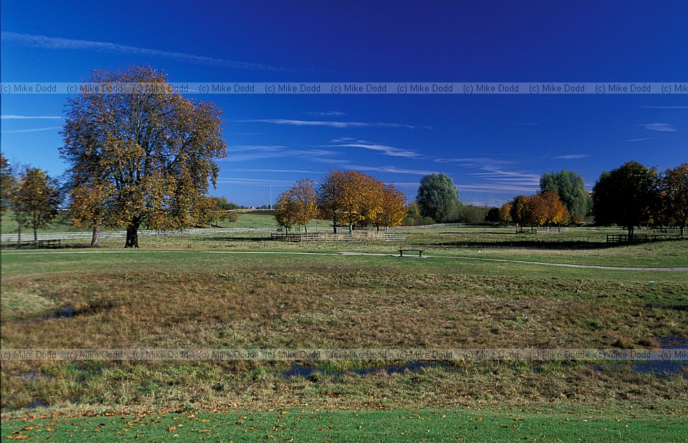 Monkston park, Milton Keynes