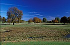 Monkston park, Milton Keynes